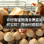 农村寄递物流全覆盖如何实现？西安村级服务设施升级提速（图1）