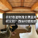 农村寄递物流全覆盖如何实现？西安村级服务设施升级提速（图2）