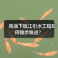 高温下瓯江引水工程如何稳步推进？（图2）