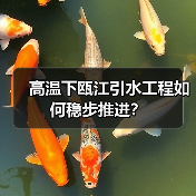 高温下瓯江引水工程如何稳步推进？（图3）