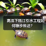 高温下瓯江引水工程如何稳步推进？（图4）