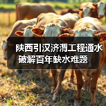 陕西引汉济渭工程通水 破解百年缺水难题（图1）