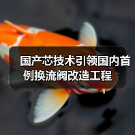 国产芯技术引领国内首例换流阀改造工程（图2）