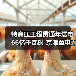 特高压工程贯通年送电66亿千瓦时 京津冀电力输送如何突破极限？（图2）