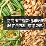 特高压工程贯通年送电66亿千瓦时 京津冀电力输送如何突破极限？（图3）