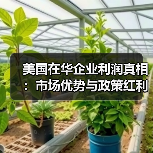 美国在华企业利润真相:市场优势与政策红利如何造就?(图2) 美国在华企业利润真相:市场优势与政策红利如何造就?(图2)