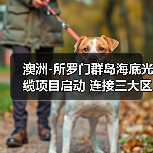 澳洲-所罗门群岛海底光缆项目启动 连接三大区域通信网络（图2）