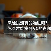 风险投资真的难进吗？怎么才能拿到VC的青睐？（图1）