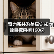 奇力新并购美磊完成 绩效目标直指160亿(图4) 奇力新并购美磊完成 绩效目标直指160亿(图4)
