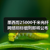 墨西哥25000千米光纤网络招标细则即将公布，关键细节曝光！（图4）