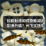 智能制造如何助推湖北制造升级？长飞实践引王祥喜调研关注（图4）