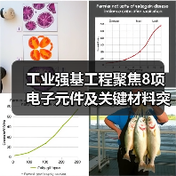 工业强基工程聚焦8项电子元件及关键材料突破（图2）