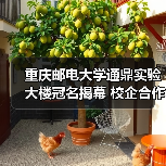 重庆邮电大学通鼎实验大楼冠名揭幕 校企合作助力产学研创新(图2) 重庆邮电大学通鼎实验大楼冠名揭幕 校企合作助力产学研创新(图2)