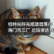 特种光纤光缆项目落户海门市三厂 总投资达10亿元（图2）