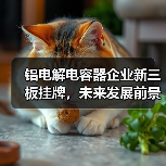 铝电解电容器企业新三板挂牌，未来发展前景如何？（图3）