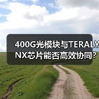 400G光模块与TERALYNX芯片能否高效协同？互操作性验证揭晓关键突破（图1）