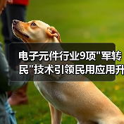 电子元件行业9项