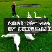 永鼎股份收购控股股东资产 布局工程集成施工领域（图2）