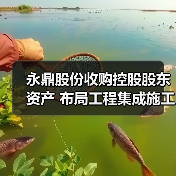 永鼎股份收购控股股东资产 布局工程集成施工领域（图4）