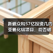 新疆众和57亿投资几内亚氧化铝项目，能否破解原料依赖？（图1）