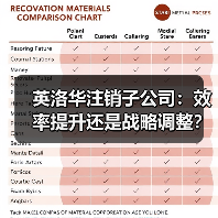 英洛华注销子公司：效率提升还是战略调整？（图3）