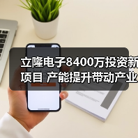 立隆电子8400万投资新项目 产能提升带动产业升级（图1）