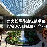 泰力松焊带漆包线项目投资3亿 建成后年产能1万吨（图4）