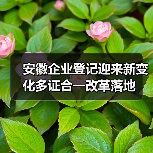 安徽企业登记迎来新变化多证合一改革落地（图1）